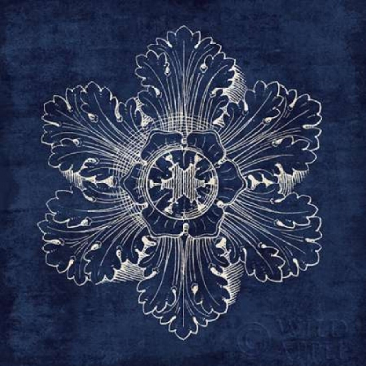 Rosette V Indigo Poster Print by Wild Apple Portfolio - Item # VARPDX23700